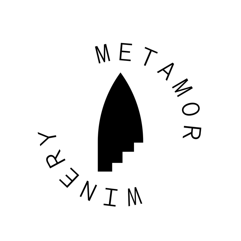 METAMOR logo system